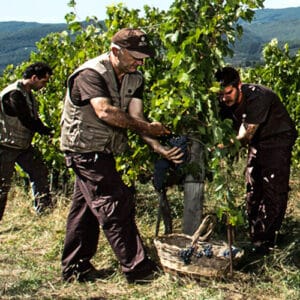 Fattoria Lavacchio